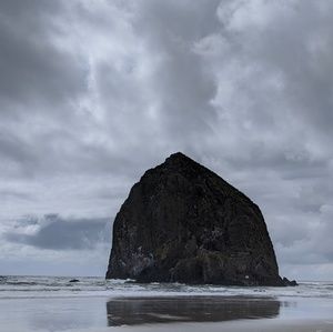 Meet your Posher, Lacy